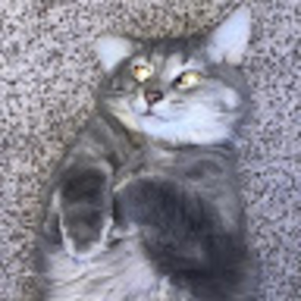 Meet your Posher, Cami